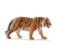 14729 Tigre du Bengale mâle Marron G