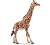 Schleich 14749 Girafe mâle, dès 3 Ans, Wild Life - Figurine, 12,7 x 4,4 x 17 cm