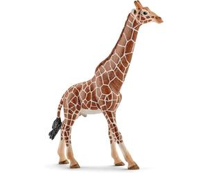 Schleich 14749 Girafe mâle, dès 3 Ans, Wild Life - Figurine, 12,7 x 4,4 x 17 cm