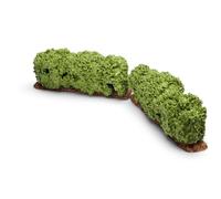 Schleich - 30659 - Figurine - Animaux - Haie