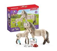 Schleich 42430 Kit de Secours d'Horse Club Hannah, dès 5 Ans, Horse Club - Coffret, 19 x 6 x 15 cm