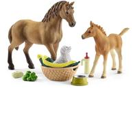 Schleich- Accessoire Les Soins pour bébé Animaux d'Horse Club Sarah, 42432, Multicolore