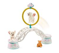 Schleich Aire d’entraînement pour lionceaux ailés