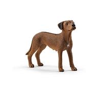 Schleich Chien de Rhodésie à crête Dorsale