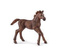 Schleich Club de Cheval, Figurine d'animal, Jouets de Cheval pour Filles et garçons de 5 à 12 Ans, Poulain Pur-Sang Anglais, à partir de 5 Ans
