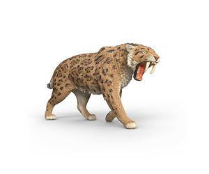 schleich Dinosaurs | Tigre à Dents de Sabre 15054 | Figurines d’Animaux réalistes | Cadeau pour garçons et Filles | Figurine à partir de 5 Ans | 14 x 7 x 3 cm
