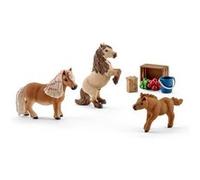 family of Mini Shetlands