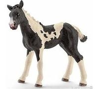 Schleich Figurine 13803 - Animal De La Ferme - Poulain Pinto Blanc G