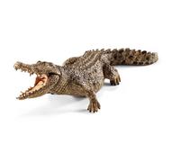 Crocodile