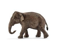 Schleich- Figurine Eléphant d’Asie, Femelle Wild Life, 14753, Multicolore
