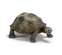 Schleich 14824 Wild Life Figurine de Tortue Terrestre Géante - Figurine d'animal Sauvage - Cadeau Garçons et Filles Jouet 3 Ans et Plus