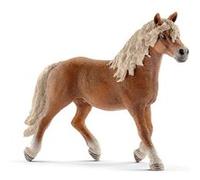 Haflinger Stallion
