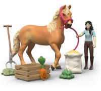 Schleich Horse Club | Kit de Soins Emily 42797 | 15 pièces