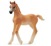 schleich HORSE CLUB Poulain Arabe
