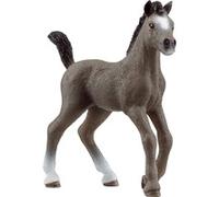 Schleich HORSE CLUB Poulain Selle Français, Figurine
