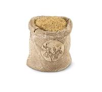 Schleich-42105 Horse Club Playset, 42105, Multicolore, 19 x 11,4 x 6,6 cm