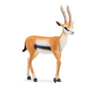 Schleich Figurine Gazelle de Thomson 14861, WILD LIFE, dès 3 ans, 2 x 9 x 10 cm