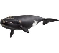 Schleich "WILD LIFE Baleine de l''Atlantique, Figurine"