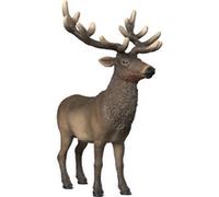 Schleich Wild Life Figurine Wapiti 14992 – détaillée de collection, dès 3 ans, 10×7×12 cm