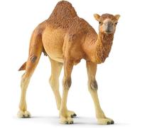 Schleich Wild Life | Dromadaire 14832 | Figurine Animale très réaliste | Jouet Zoo & océan | Superbe pièce de décor pour Anniversaire | Jouet dès 3 Ans | 14 x 4 x 10 cm