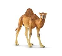 Schleich Wild Life | Dromadaire 14832 | Figurine Animale très réaliste | Jouet Zoo & océan | Superbe pièce de décor pour Anniversaire | Jouet dès 3 Ans | 14 x 4 x 10 cm