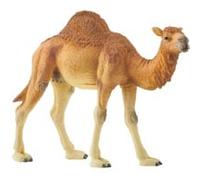 Schleich Wild Life - Dromadaire, Figurine