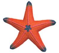 Schleich Figurine Étoile de mer changeant de couleur 14902 – détaillée, dès 3 ans