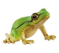 Schleich WILD LIFE Rainette Verte, Figurine