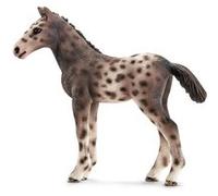 Schleich World of Nature: Farm Life - Poulain Knabstrupper G