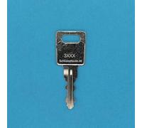 SCHLUESSELBUDE.DE SB Clé de coffre de toit 3004 en acier allié pour anciens jetbags et coffres de toit Thule et coffres de toit Thule, fraisée des deux côtés, numéro de clé 3004