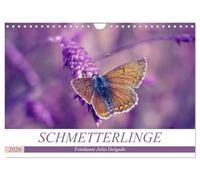 Schmetterlinge im Fokus (Wandkalender 2026 DIN A4 quer), CALVENDO Monatskalender: Erleben Sie den Zauber der Schmetterlinge das ganze Jahr hindurch
