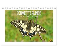 Schmetterlinge: zart und bunt (Tischkalender 2026 DIN A5 quer), CALVENDO Monatskalender: Das Glück ist wie ein Schmetterling