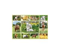 SCHMIDT AND SPIELE Puzzle enfant - Bebe animaux a la ferme - 100 pcs