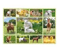 SCHMIDT AND SPIELE Puzzle enfant - Bebe animaux a la ferme - 100 pcs multicolore G