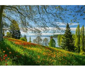 Schmidt CGS_58967 Puzzle, Multicolor