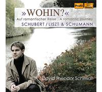 Schmidt,David Theodor - D.T.Schmidt: Wohin [Import]
