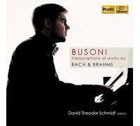 Schmidt,David Theodor - Transcriptions Bach Brahms [Import]