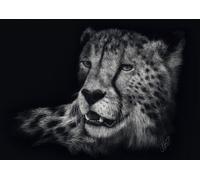 Schmidt Spiele 58542 Puzzle de 1 000 pièces Motif Guépard et Ashley Rader Multicolore
