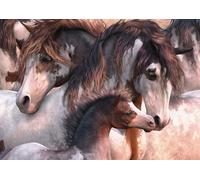 SCHMIDT Pinto cheval puzzle 1000 pièces
