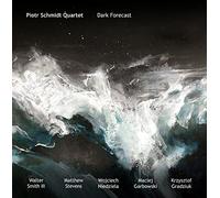 Schmidt,Piotr Quartet - Dark Forecast