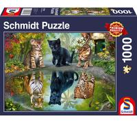 Schmidt Puzzle 1000 pièces : Rêvez en grand