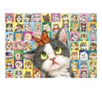 SCHMIDT Puzzle Expression du chat 1000 pièces