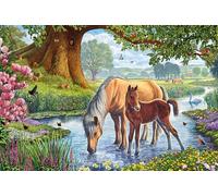 Schmidt Spiele - 56161 - Puzzle - Chevaux dans Le Ruisseau - 150 Pièces