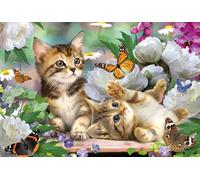 Schmidt Spiele 56468 Chatons ludiques, Puzzle Enfant de 150 pièces, Coloré