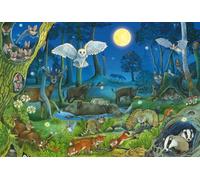 Schmidt-Spiele Puzzle 56529 Animaux la Nuit dans la forêt –100 pièces pour enfants en carton d'herbe