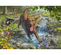 Schmidt Spiele 58559 Mark Frederickson, Dog Love, Spring Walk avec Labrador Retriever, Puzzle 1000 pièces