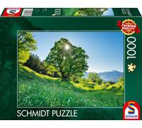 Schmidt Spiele Puzzle montagne érable au soleil, STeile Gallen, Suisse 1000piles