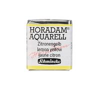 Schmincke - HORADAM® AQUARELL - Aquarelle d'artiste ultra-fine 215 Jaune citron 1/2 godet