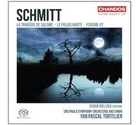 Schmitt:La Tragedie De Salome (Psaume 47/ Tragedie De Salome/ Palais Hante) by Susan Bullock (2011-06-28)
