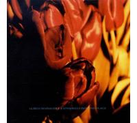 Schnauss,Ulrich - A Strangely Isolated Place [Import]